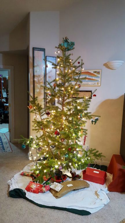 Xmas-002-2017-12-22 Our Tree